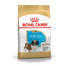 ROYAL CANIN Shih tzu Puppy 1,5 granule pre šteňa shih tzu