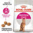 ROYAL CANIN Protein Exigent 10kg granule pre maškrtné mačky