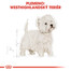ROYAL CANIN Westie Adult 500g granule pre dospelého westhinghlandského bieleho teriéra