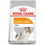 ROYAL CANIN Mini coat care 3 kg
