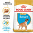 ROYAL CANIN Boxer Puppy 12 kg granule pre šteňa boxera
