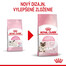 ROYAL CANIN Mother&Babycat granule pre gravidné alebo dojčiace mačky a mačiatka od 1 do 4 mesiacov 2 kg