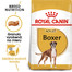 ROYAL CANIN Boxer Adult 12kg granule pre dospelého boxera