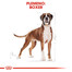 ROYAL CANIN Boxer Adult 12kg granule pre dospelého boxera