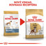 ROYAL CANIN Boxer Adult 12kg granule pre dospelého boxera