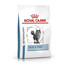 ROYAL CANIN Cat skin young male s / o 0.4 kg