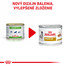 ROYAL CANIN Dog urinary S / O 200 g