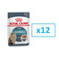 ROYAL CANIN Hairball Care Gravy 85g x 12