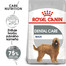 ROYAL CANIN Maxi Dental Care 9 kg