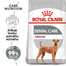 ROYAL CANIN Medium dental care 3 kg