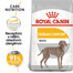 ROYAL CANIN Maxi dermacomfort 3 kg granule pre veľké psy s problémami s kožou