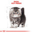 ROYAL CANIN Kitten persian 4 kg suché krmivo pre mačiatka do 12 mesiacov, perzská mačka