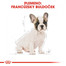 ROYAL CANIN French Bulldog Puppy 1kg granule pre šteňa francúzskeho buldočka