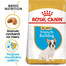 ROYAL CANIN French Bulldog Puppy 1kg granule pre šteňa francúzskeho buldočka
