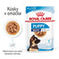 ROYAL CANIN Maxi puppy 10x140 g kapsička pre veľké šteňatá