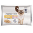 PERFECT FIT Sensitive 1+  pre mačky, kuracie mäso a losos 4x85 g