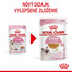 ROYAL CANIN Kitten Instinctive Jelly 85g kapsička pre mačiatka v želé