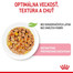 ROYAL CANIN Kitten Instinctive Jelly 12 x 85g kapsička pre mačiatka v želé