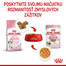 ROYAL CANIN Kitten Instinctive Jelly 85g kapsička pre mačiatka v želé