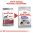 ROYAL CANIN Medium Sterilised 10 kg granule pre kastrované stredné psy
