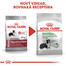 ROYAL CANIN Medium Digestive Care 10 kg