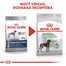 ROYAL CANIN Maxi Digestive Care 3 kg granule pre dospelých psov veľkých plemien s citlivým zažívacím traktom