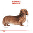ROYAL CANIN Dachshund adult 500g granule pre dospelého jazvečíka