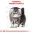 ROYAL CANIN Kitten persian 4 kg suché krmivo pre mačiatka do 12 mesiacov, perzská mačka