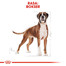 ROYAL CANIN Boxer Adult 3 kg granule pre dospelého boxera