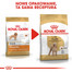 ROYAL CANIN Poodle Adult 7,5 kg
