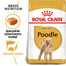 ROYAL CANIN Poodle Adult 500g granule pre dospelého pudla