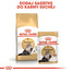 ROYAL CANIN Persian 10 + 2 kg GRATIS