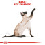 ROYAL CANIN Siamese Adult 10 kg