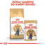 ROYAL CANIN British Shorthair Adult 4kg granule pre britské krátkosrsté mačky