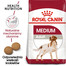 ROYAL CANIN Medium adult 10 kg