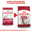 ROYAL CANIN Medium Adult 7+ 10 kg granule pre dospelé starnúce stredné psy