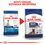 ROYAL CANIN Maxi ageing 8+ 3 kg