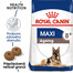 ROYAL CANIN Maxi ageing 8+ 3 kg