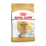 ROYAL CANIN Yorkshire Terrier Adult 8+ 500g granule pre staršieho jorkšírskeho teriéra