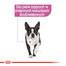 ROYAL CANIN Relax Care 12 x 85 g