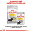ROYAL CANIN Dermacomfort Dog Loaf 85g x12