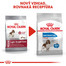 ROYAL CANIN Medium Light Weight Care 10 kg diétne granuly pre stredných psov
