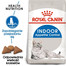 ROYAL CANIN Indoor Apetite Control 3,5 kg