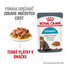 ROYAL CANIN Urinary Care kapsičky v šťave pre dospelé mačky na podporu zdravia močových ciest 12 x 85g