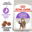 ROYAL CANIN Indoor Apetite Control 10 kg