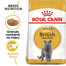 ROYAL CANIN British Shorthair Adult 10kg + kapsičky British Shorthair 12x85g
