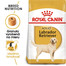 ROYAL CANIN Labrador retriever adult 2 x 12 kg granule pre dospelých psov plemena labradorský retriever nad 15 mesiacov