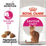 ROYAL CANIN Savour Exigent 2 x 10kg granule pre maškrtné mačky