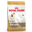 ROYAL CANIN Beagle Adult 2 x 12 kg