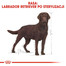 ROYAL CANIN Labrador retriever adult sterilised 2 x 12kg
